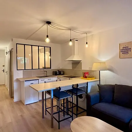 公寓 Renovated 2 With Swimming Pool 4 People 昂蒂布