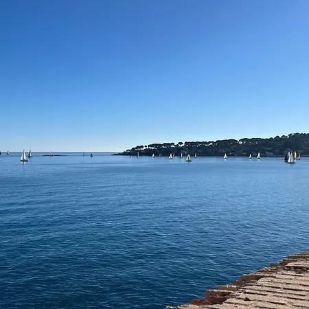 Renovated 2 With Swimming Pool 4 People * Antibes