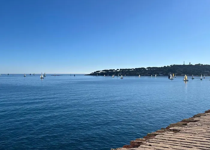 Renovated 2 With Swimming Pool 4 People * Antibes